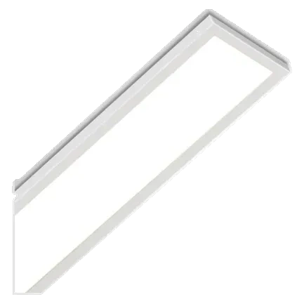 CL AR 21