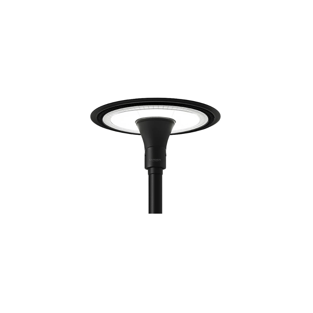 CL PT 4