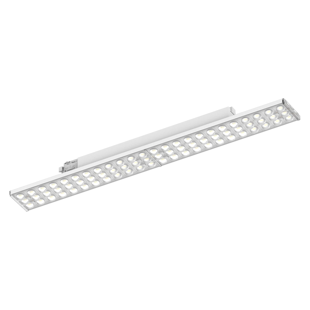 CL TL 13