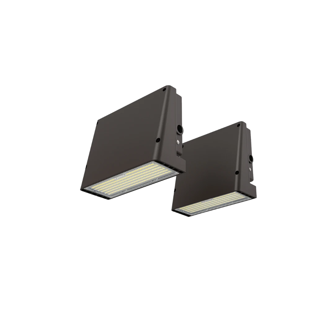 CL WP 5