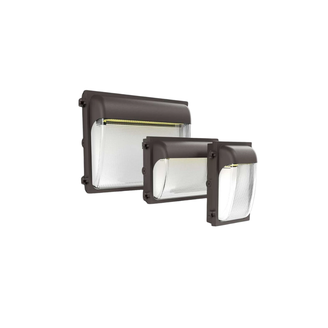 CL WP 6