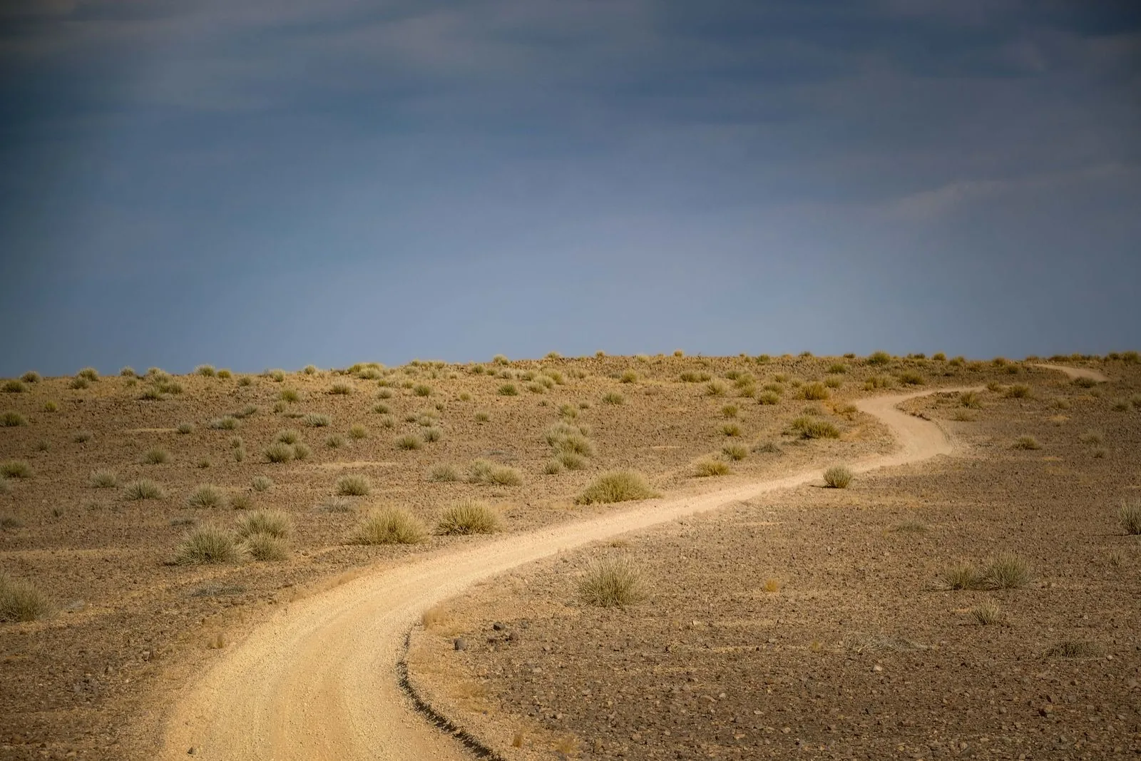 Caminos y patios internos